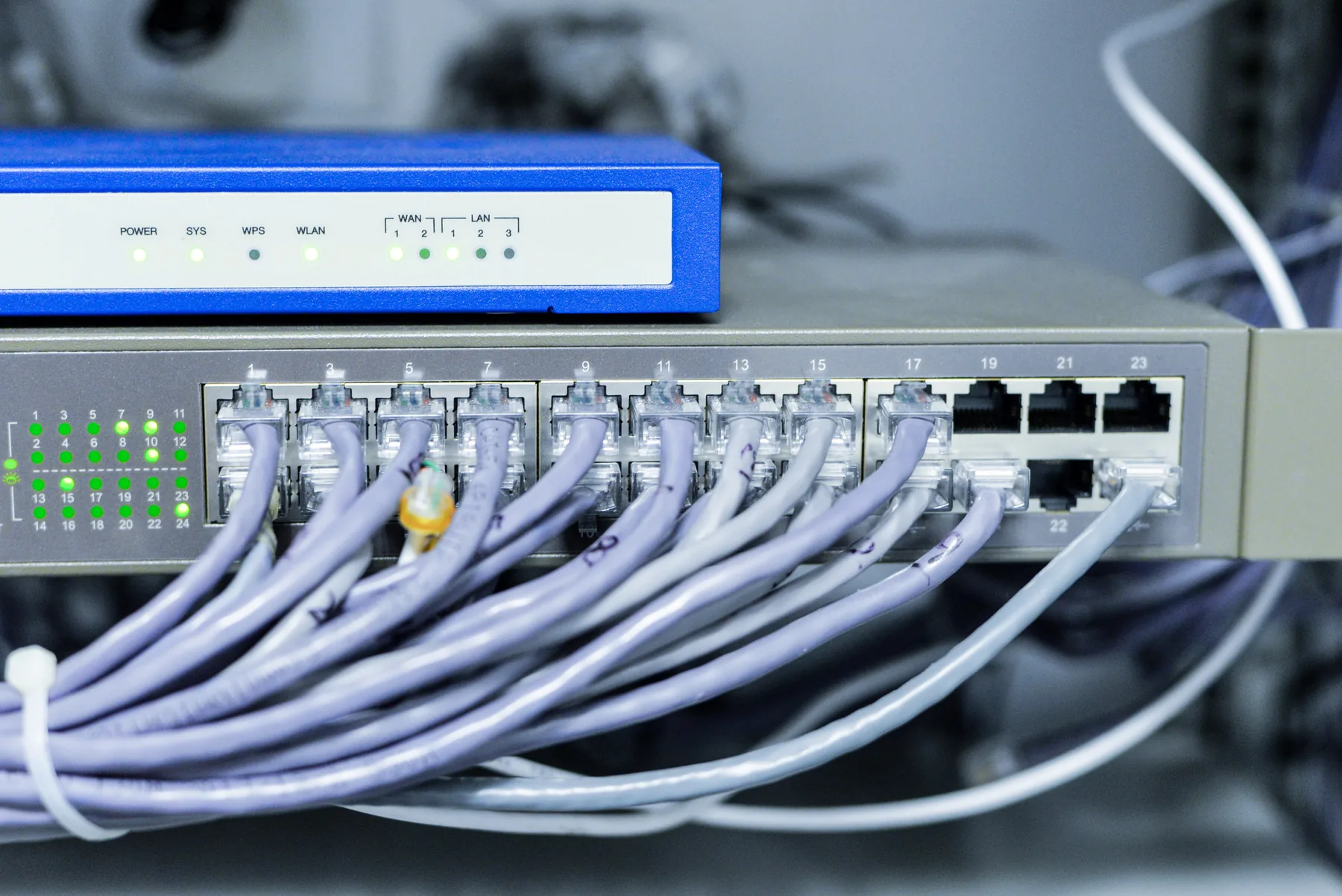 Blue network cables connected to a switch